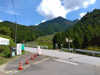 棚田へ歩く