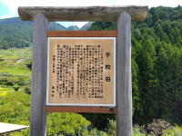 千枚田の説明