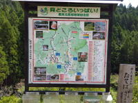近くの見所