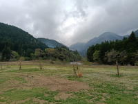 朝の山間は濃霧